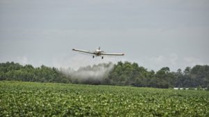 Benefits Of Using Eco-friendly Pest Control Methods