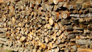 Best Considerations When Looking For Extermination Experts