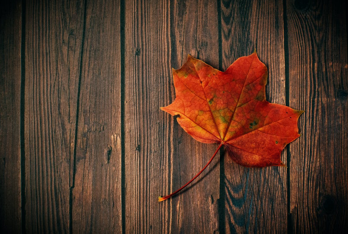 Maple: The Best Material for Your Interior
