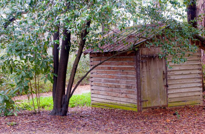 Maximize Your Space: Reasons Why Homeowners Invest in Outdoor Sheds
